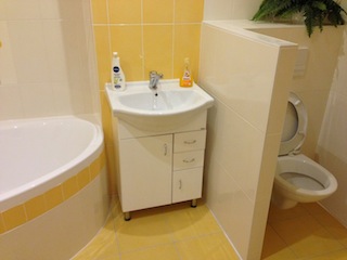 Rekonstrukce koupelny 2012